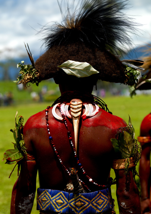 Huli wigman with a Cassowary bone on the back during a sing sing, Western Highlands Province, Mount Hagen, Papua New Guinea