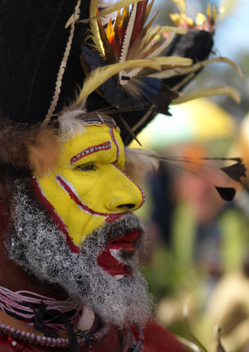 Portrait of a Huli tribe wigmen in traditional clothing during a sing-sing, Western Highlands Province, Mount Hagen, Papua New Guinea