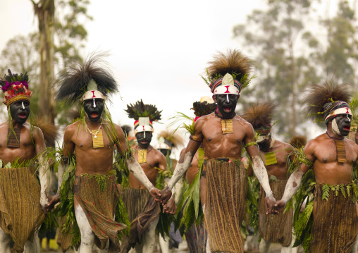 Highlander warriors with traditional clothing during a sing-sing, Western Highlands Province, Mount Hagen, Papua New Guinea