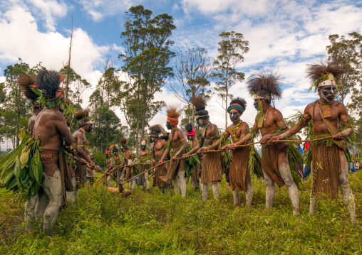 Highlander warriors with traditional clothing during a sing-sing, Western Highlands Province, Mount Hagen, Papua New Guinea