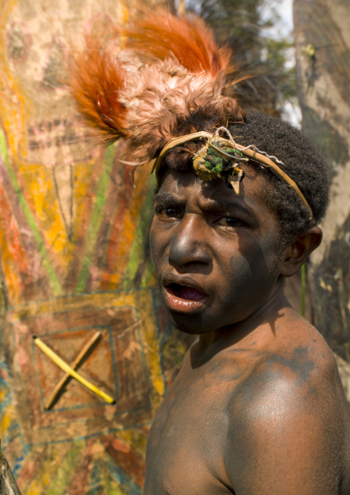 Highlander warrior with traditional makeup during a sing-sing, Western Highlands Province, Mount Hagen, Papua New Guinea