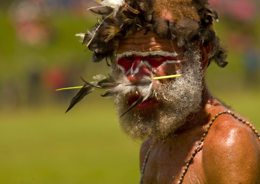 Highlander warrior with traditional makeup during a sing-sing, Western Highlands Province, Mount Hagen, Papua New Guinea