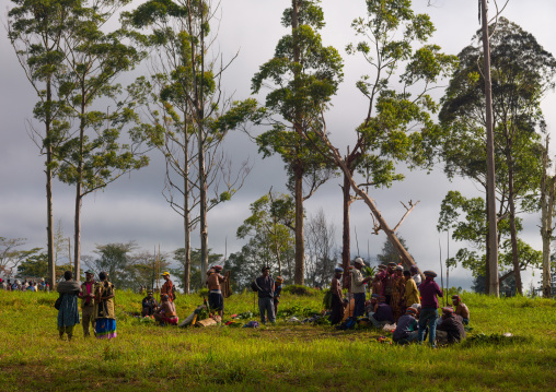 Melpa tribe people makeup during a sing-sing, Western Highlands Province, Mount Hagen, Papua New Guinea