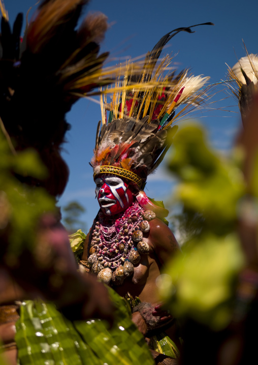 Highlander woman with traditional clothing during a sing-sing, Western Highlands Province, Mount Hagen, Papua New Guinea