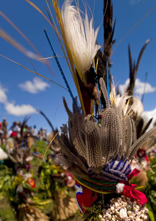 Highlander women with traditional clothing during a sing-sing, Western Highlands Province, Mount Hagen, Papua New Guinea