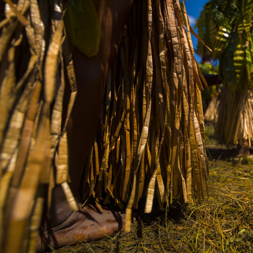 Melpa tribe woman vegetal skirt during a sing-sing, Western Highlands Province, Mount Hagen, Papua New Guinea