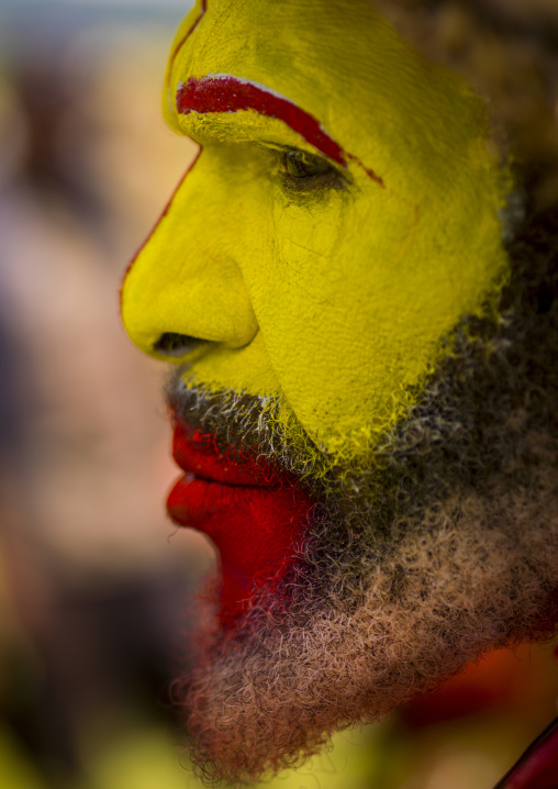 Portrait of a Huli tribe wigmen in traditional clothing during a sing-sing, Western Highlands Province, Mount Hagen, Papua New Guinea