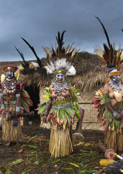 Melpa tribe women in traditional clothing during a sing-sing, Western Highlands Province, Mount Hagen, Papua New Guinea