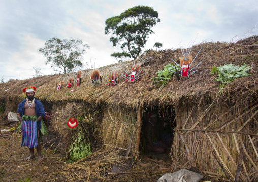 Headdresses on the roof of a highlander long house during a sing sing, Western Highlands Province, Mount Hagen, Papua New Guinea