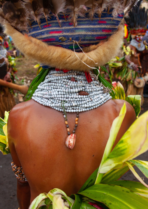 Melpa tribe woman back decoration during a sing-sing, Western Highlands Province, Mount Hagen, Papua New Guinea