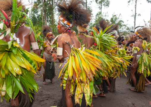 Chimbu tribe women during a Sing-sing, Western Highlands Province, Mount Hagen, Papua New Guinea