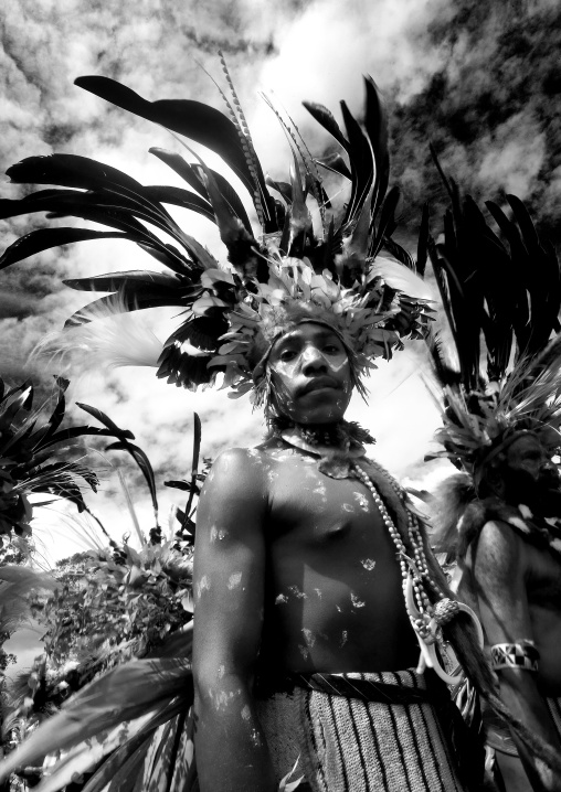 Chimbu tribe man with giant headdress made of eagle feathers during a sing sing, Western Highlands Province, Mount Hagen, Papua New Guinea