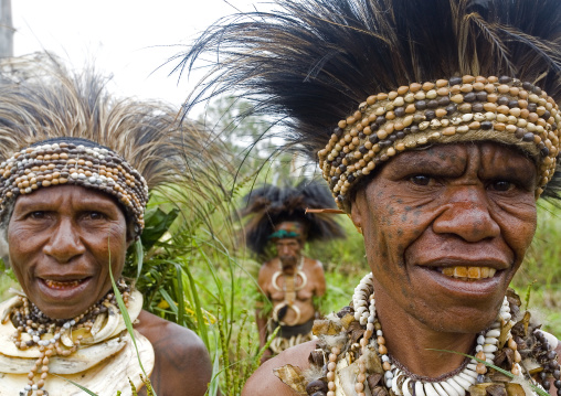 Portrait of Chimbu tribe women with headwears during Sing-sing ceremony, Western Highlands Province, Mount Hagen, Papua New Guinea