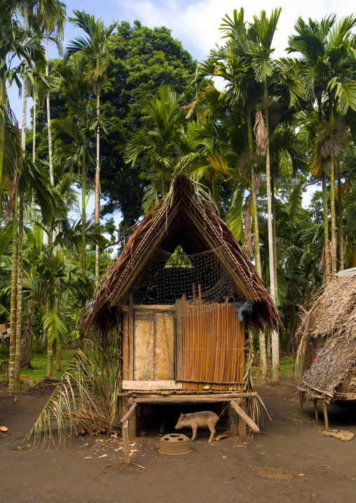 Traditional house with thatched roof in a village, Milne Bay Province, Trobriand Island, Papua New Guinea
