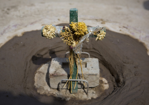 Pisco Factory, Cuzco, Peru