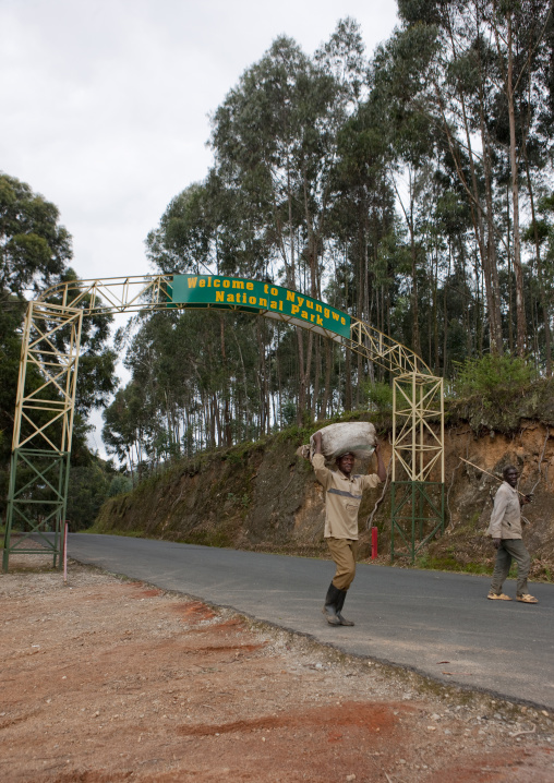Uwinka canopee forest entrance gate, Nyungwe Forest National Park, Uwinka, Rwanda