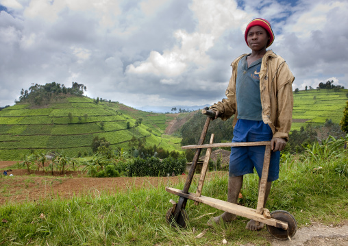 Rwandan boy with a wooden bicycle, Nyungwe Forest National Park, Gisakura, Rwanda