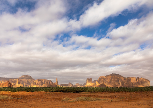 Palm trees in the oasis of jebel Dedan, Al Madinah Province, Alula, Saudi Arabia