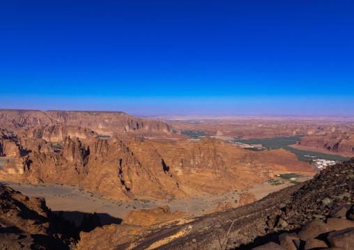 Oasis in the middle of the wadi al-Qura, Al Madinah Province, Alula, Saudi Arabia