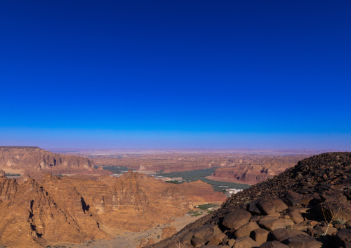 Oasis in the middle of the wadi al-Qura, Al Madinah Province, Alula, Saudi Arabia