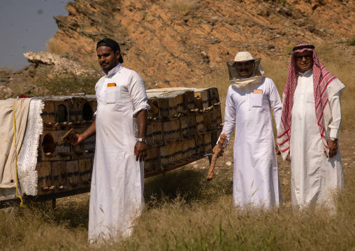 Saudi beekeepers working in the beehives, Jizan province, Addarb, Saudi Arabia