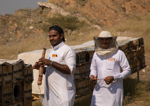 Saudi beekeepers working in the beehives, Jizan province, Addarb, Saudi Arabia