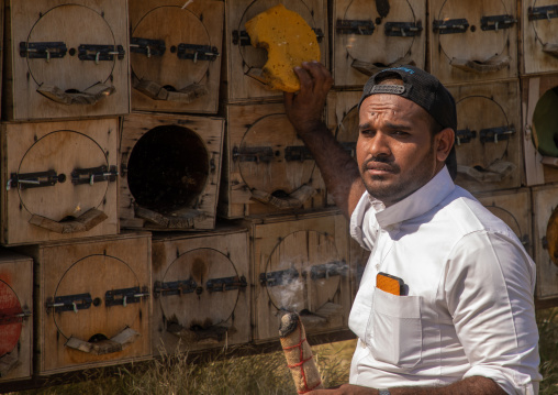 Saudi beekeeper working in the beehives, Jizan province, Addarb, Saudi Arabia