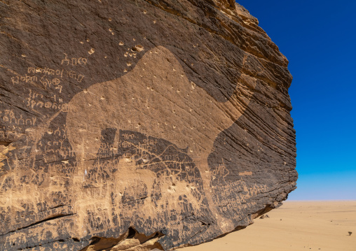 Life-sized camel petroglyph on a rock, Najran Province, Thar, Saudi Arabia