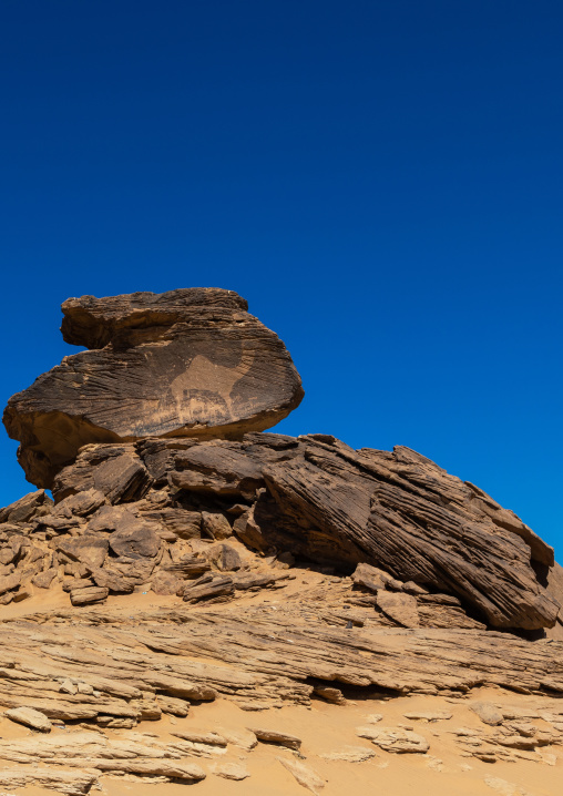 Life-sized camel petroglyph on a rock, Najran Province, Thar, Saudi Arabia