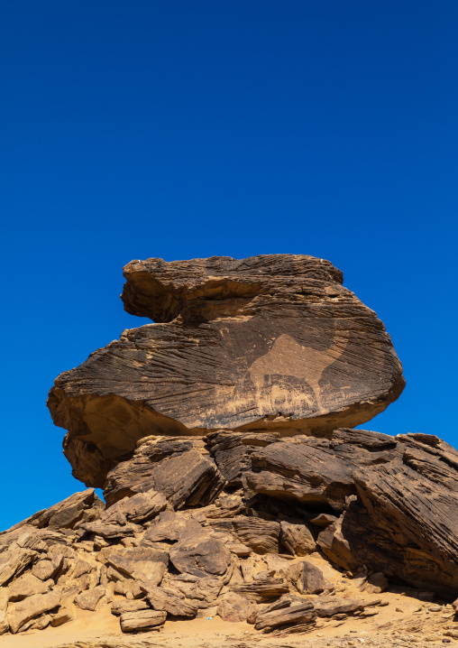 Life-sized camel petroglyph on a rock, Najran Province, Thar, Saudi Arabia