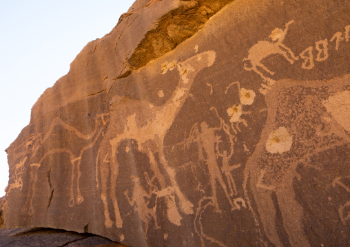 Petroglyphs on a rock depicting camels, Najran Province, Thar, Saudi Arabia