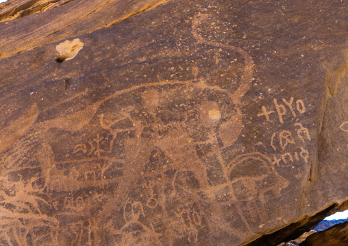 Petroglyphs rock art depicting an ostrich, Najran Province, Najd Khayran, Saudi Arabia