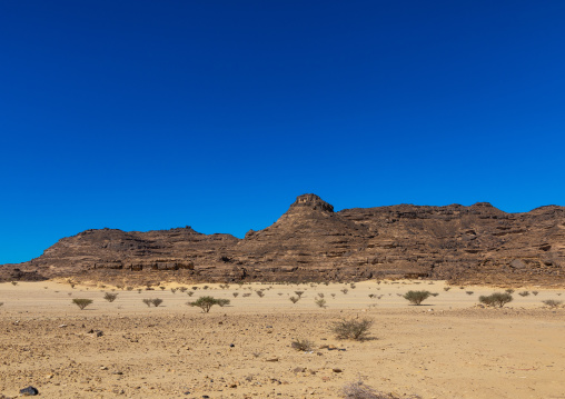 Hill in the desert where can be found ot of petroglyphs, Najran Province, Thar, Saudi Arabia