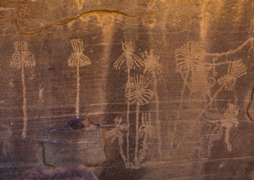 Petroglyphs rock art depicting palm trees, Najran Province, Minshaf, Saudi Arabia