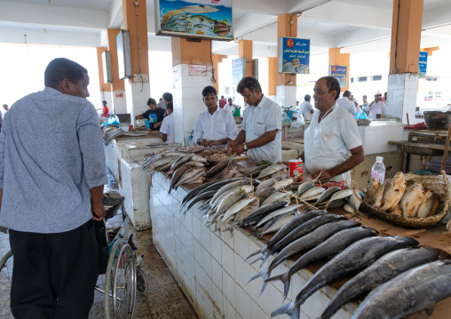 Fish market, Jizan Province, Jizan, Saudi Arabia