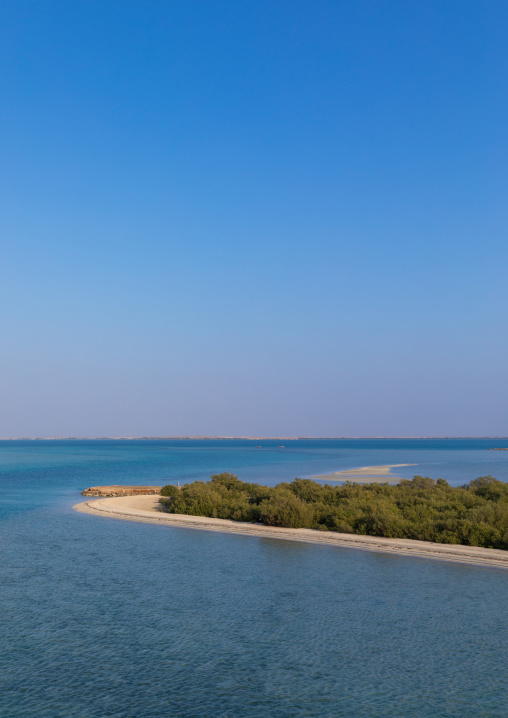 Empty beach with mangrove, Red Sea, Farasan, Saudi Arabia