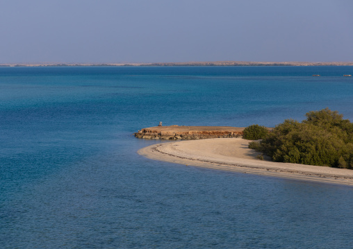 Empty beach with mangrove, Red Sea, Farasan, Saudi Arabia