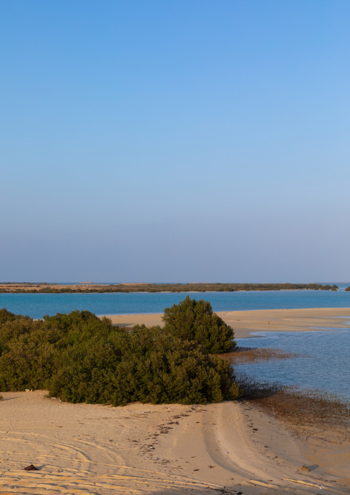 Empty beach with mangrove, Red Sea, Farasan, Saudi Arabia