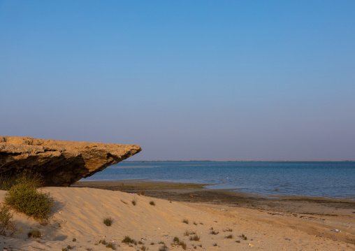 Coral rock on an empty beach, Red Sea, Farasan, Saudi Arabia