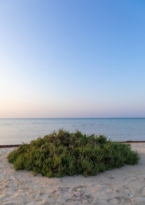 Empty beach, Red Sea, Farasan, Saudi Arabia