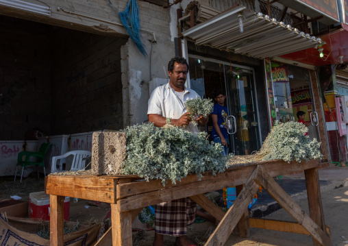 A flower vendor preparing floral garlands and crowns on a market, Jizan Province, Sabya, Saudi Arabia