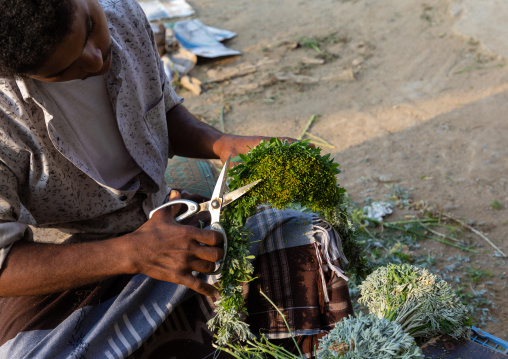 A flower vendor preparing floral garlands and crowns on a market, Jizan Province, Mahalah, Saudi Arabia