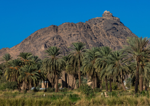 Old village of traditional mud houses, Najran Province, Najran, Saudi Arabia