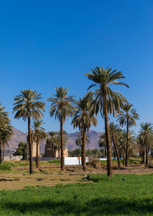 Traditional old mud house, Najran Province, Najran, Saudi Arabia