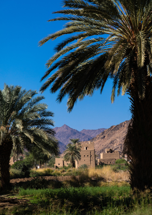 Traditional old mud house in an oasis, Najran Province, Najran, Saudi Arabia