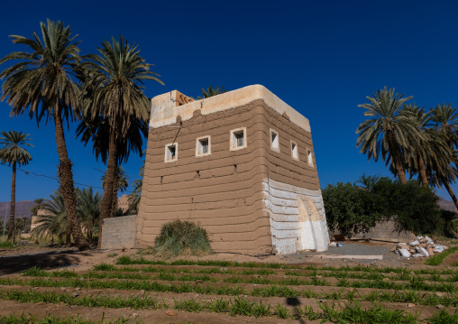 Traditional old mud house, Najran Province, Najran, Saudi Arabia