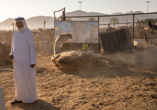 Saudi men in the camel market, Najran Province, Najran, Saudi Arabia