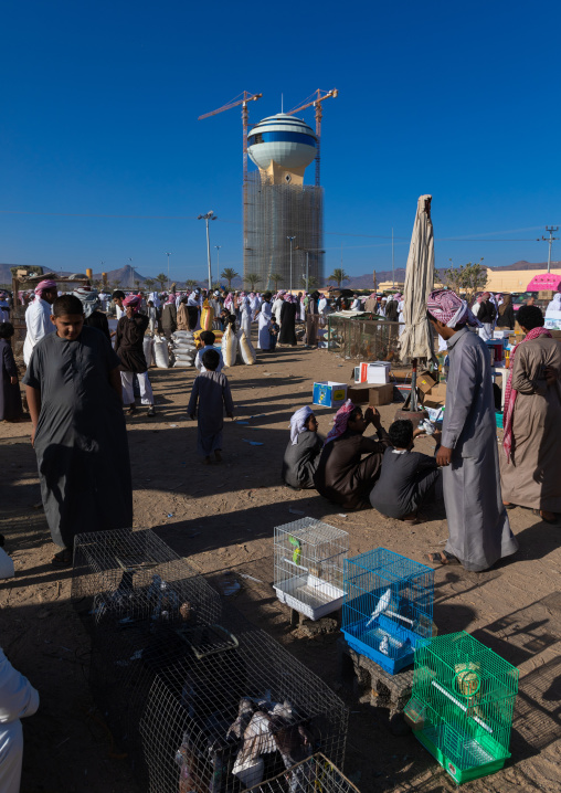 Saudi people in the bird and poultry market, Najran Province, Najran, Saudi Arabia