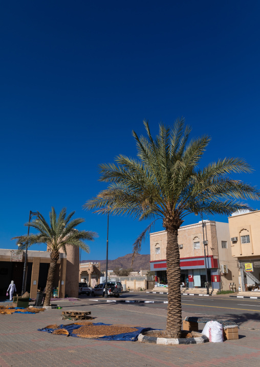 Outdoor dates market, Najran Province, Najran, Saudi Arabia
