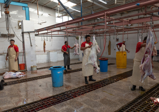 Butchers working at slaughterhouse, Najran Province, Najran, Saudi Arabia